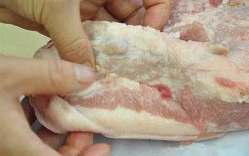 Señales para identificar carne de cerdo enferma
